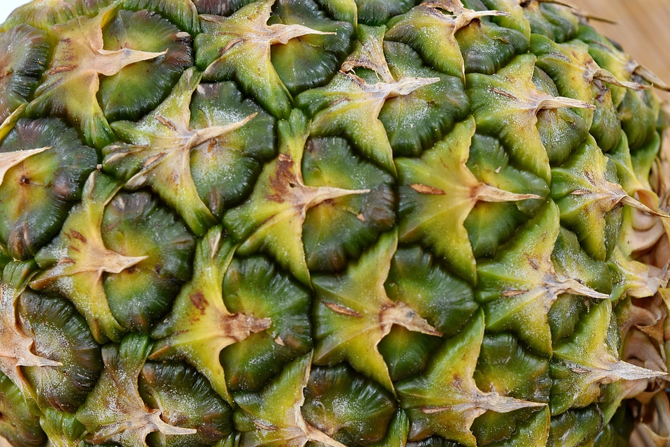 Green greenish yellow pineapple