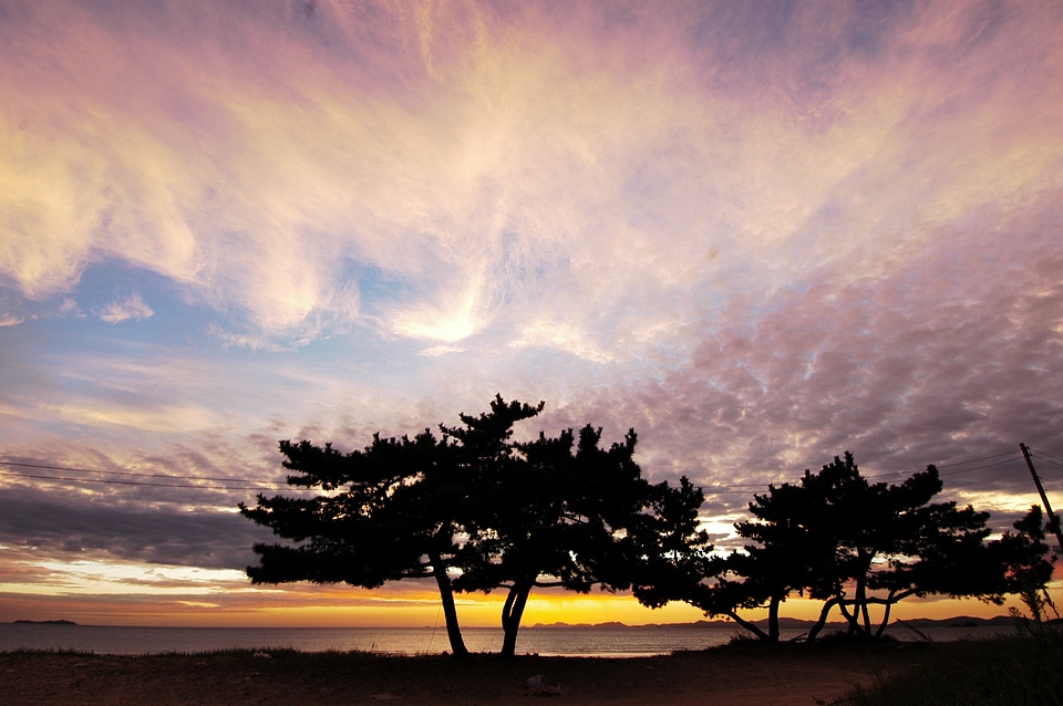Camel joe sunset sky