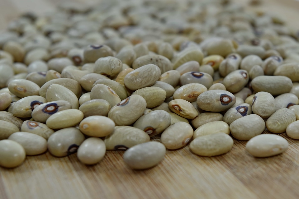 Beans vegetable ingredients
