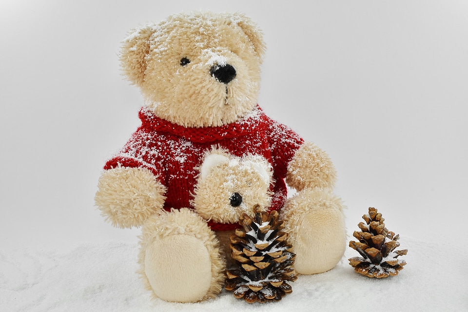 Conifers decoration snow