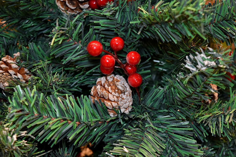Branches christmas christmas tree