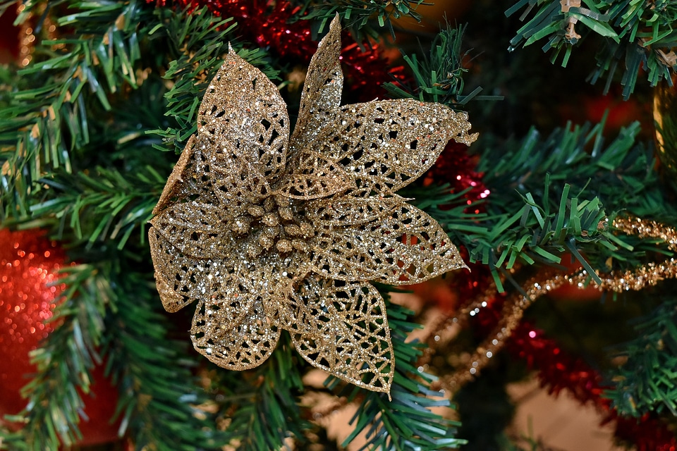 Branches bright christmas
