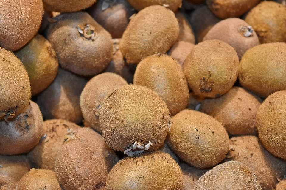 Agriculture fruit light brown