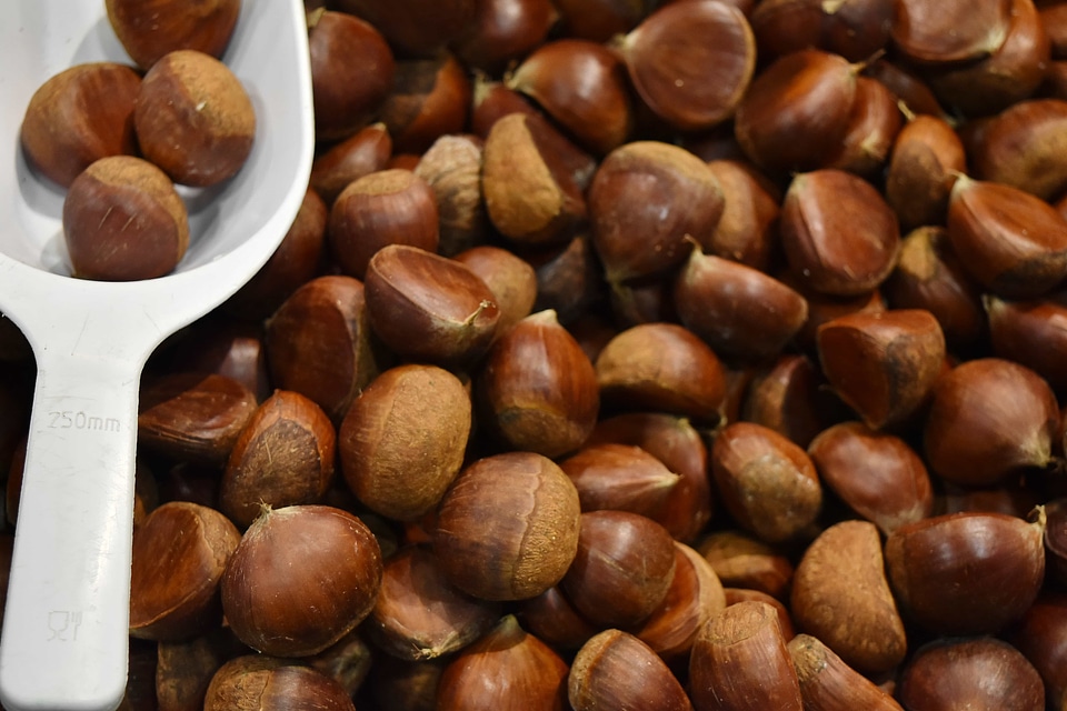 Kernel chestnut brown
