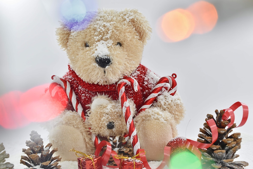 Christmas lights teddy bear toy photo