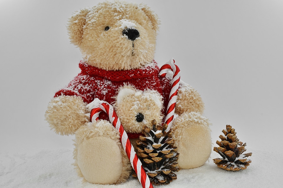 Christmas decoration holiday