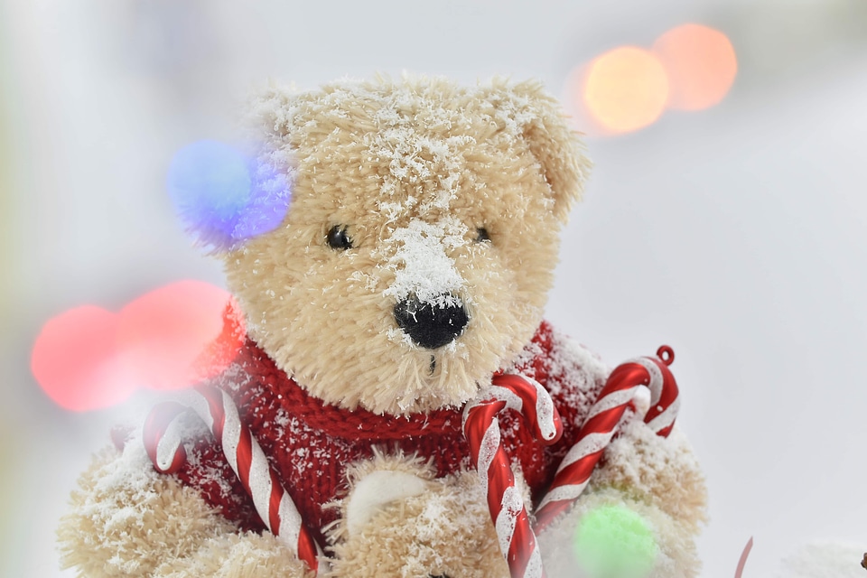 Teddy Bear Toy toys toyshop