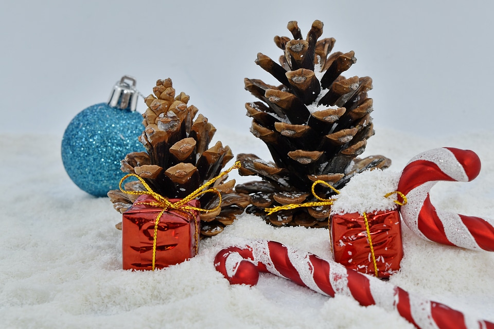 Candy conifers gifts