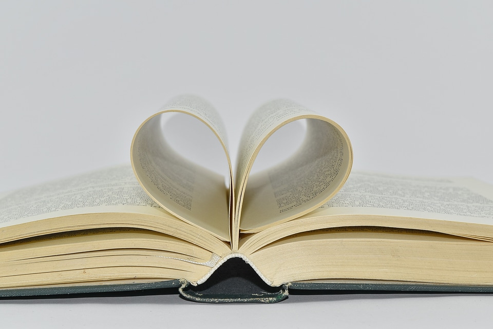 Book hardcover novel