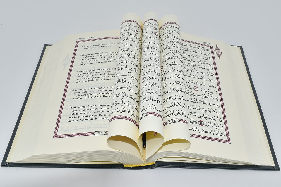 Arabic book language