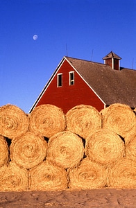 Countryside summer dry