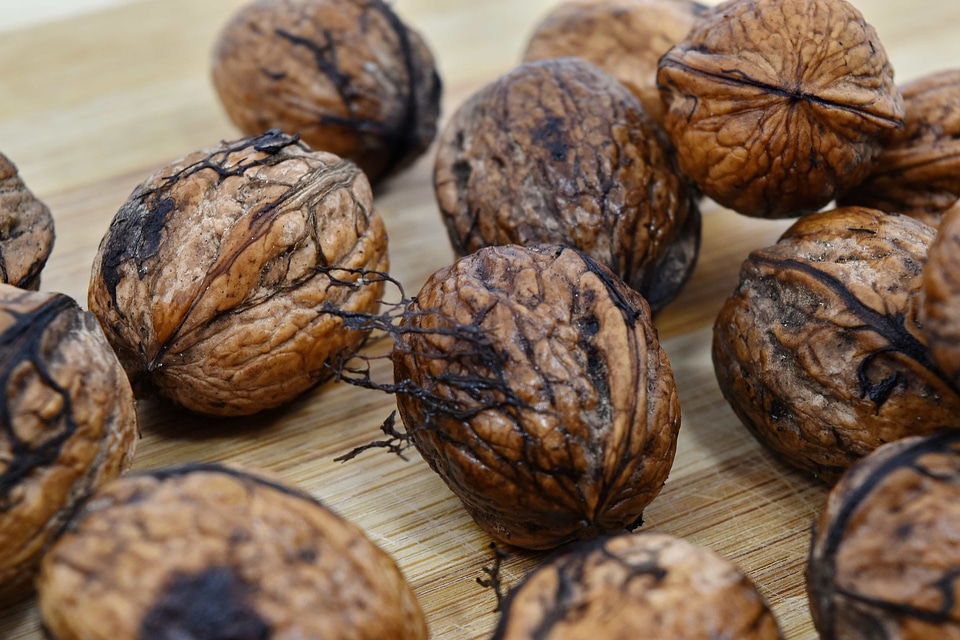 Nutshell walnut brown