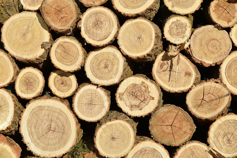 Hardwood light brown texture