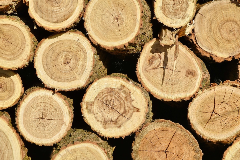 Bark firewood wood