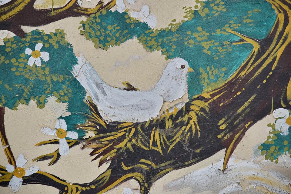 Creativity dove drawing