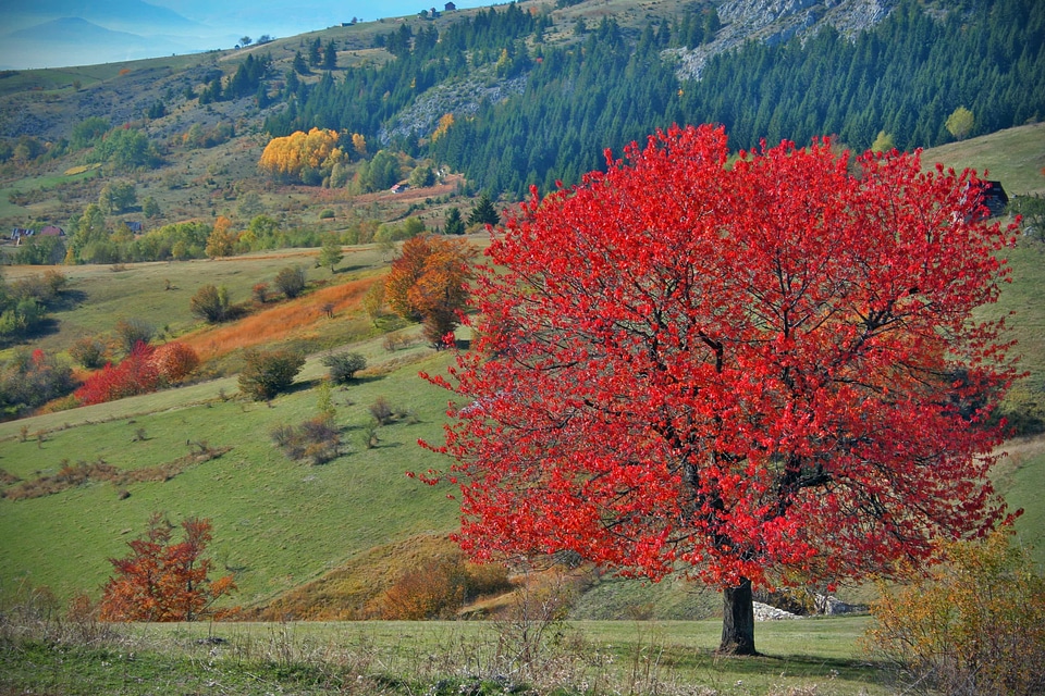 Autumn Season Bosnia and Herzegovina hillside