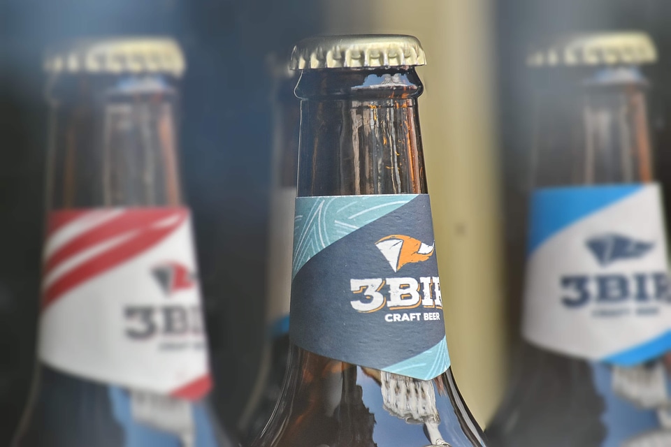 Beer bottle craft