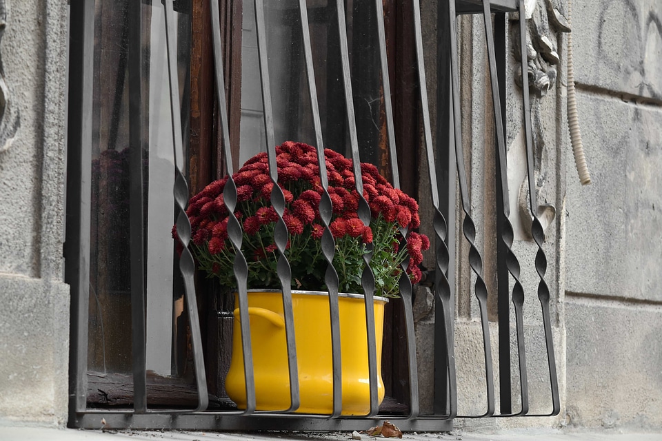 Decoration facade fence