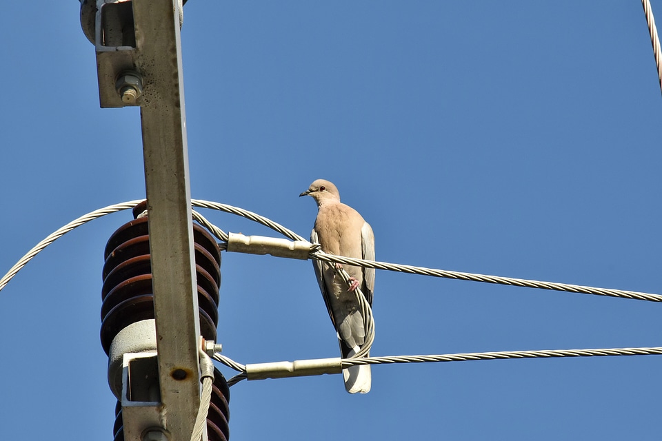 Electricity high voltage