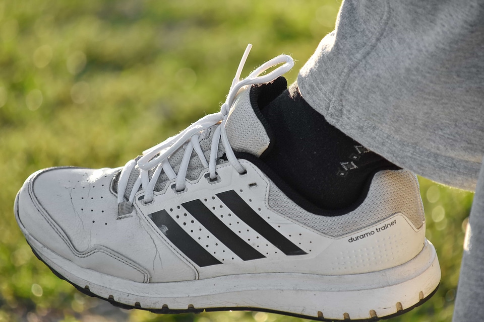 Sneakers footwear leather