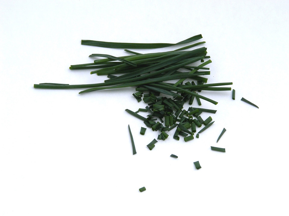Seasoning plant natural