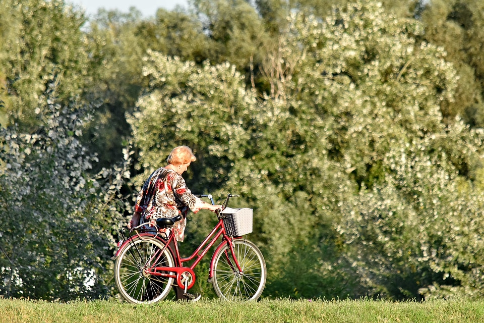Bicycle enjoyment forest