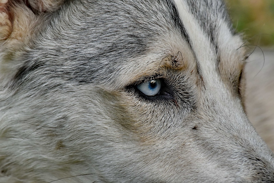 Beautiful Image close-up details