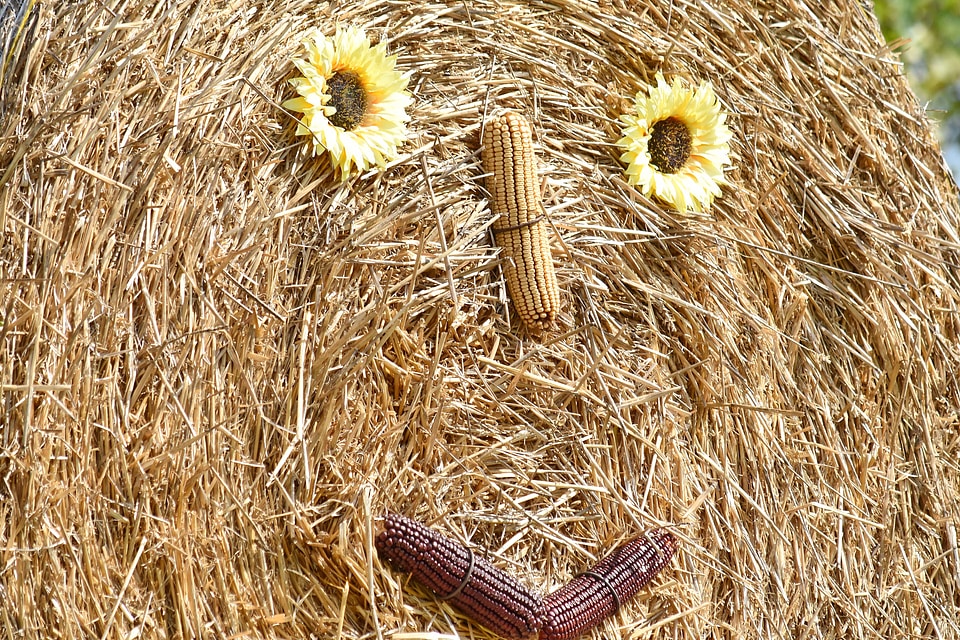 Corn decoration face