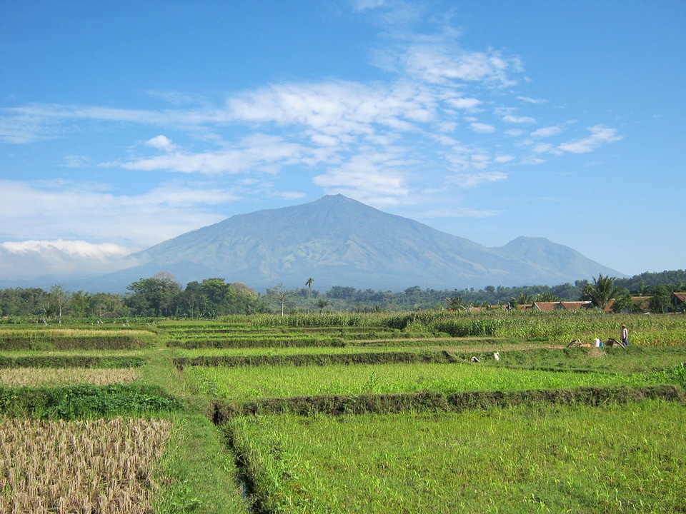 Agriculture countryside field