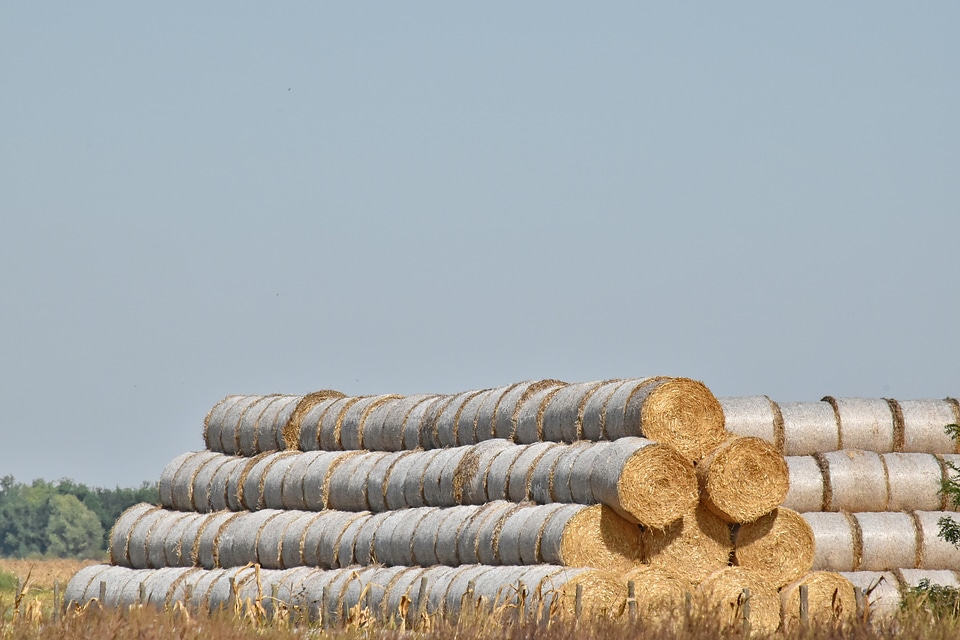 Farmland hay field haystack