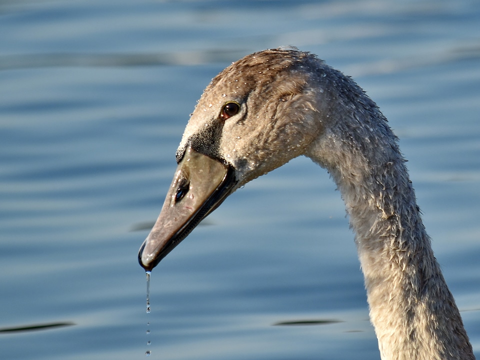 Beautiful Photo eye looking