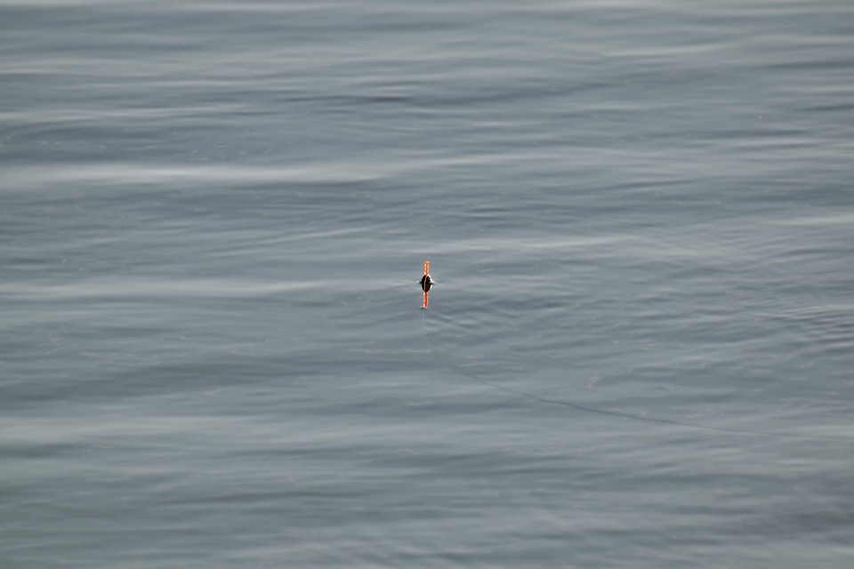 Calm detail fishing
