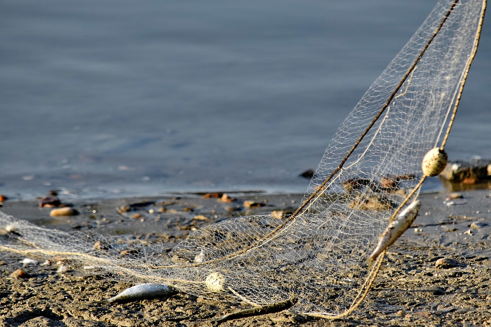 Fishing fishing gear network