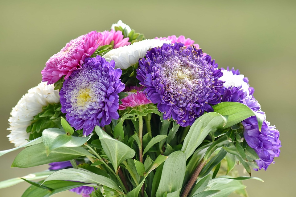 Arrangement bouquet flower