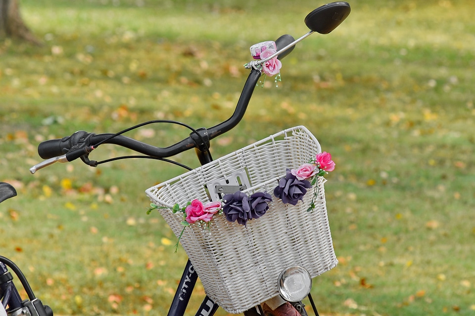 Bicycle park romance