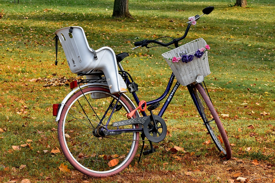 Bicycle decorative forest
