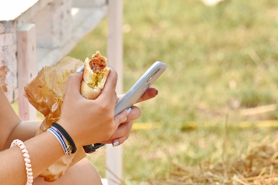 Hay mobile phone sandwich