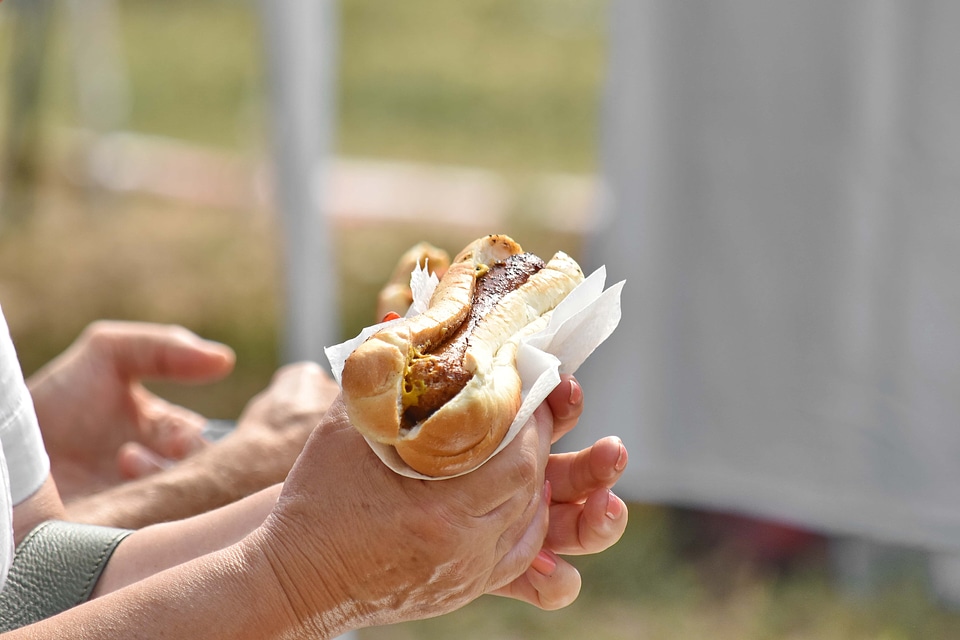Fast Food hands picnic