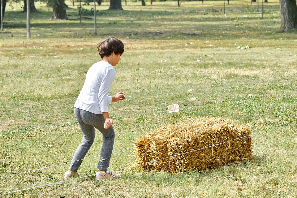 Countryside exercise physical activity