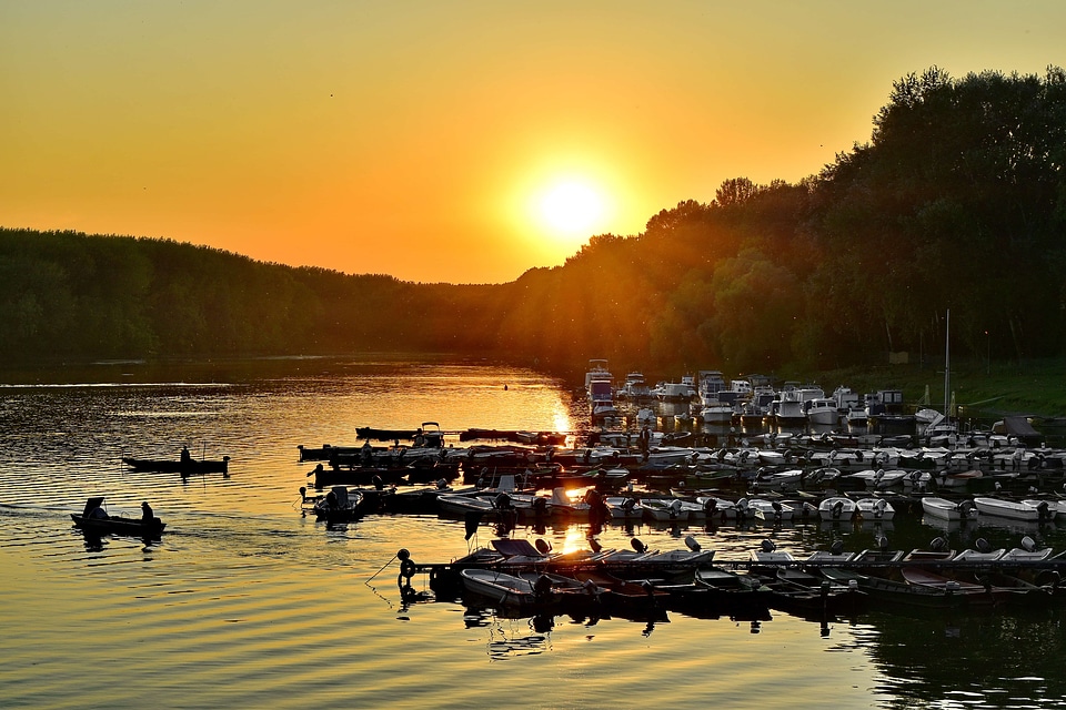 Evening fisherman forest