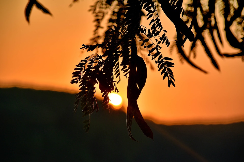 Backlight shadow silhouette
