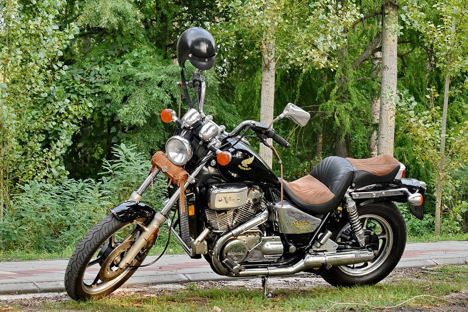 Adventure engine forest road