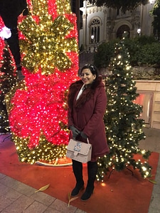 Boots celebration christmas