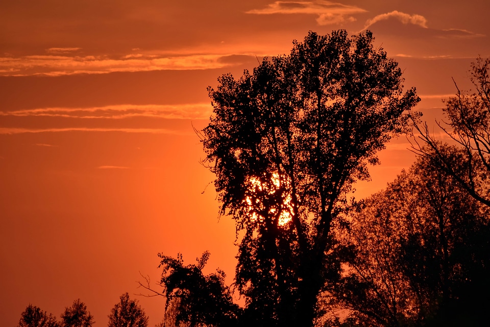 Beautiful Photo silhouette summer season