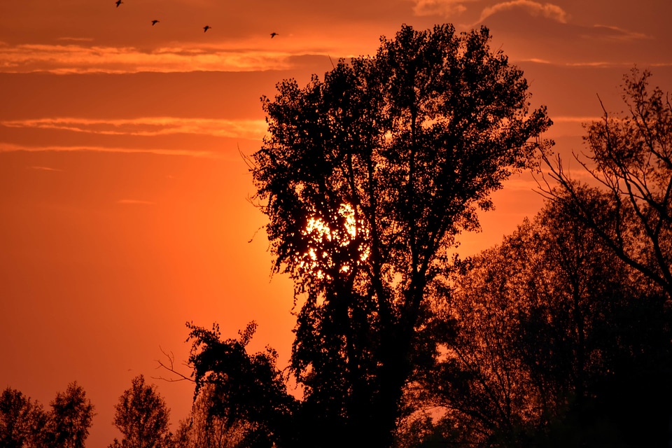 Beautiful Photo fair weather shadow photo