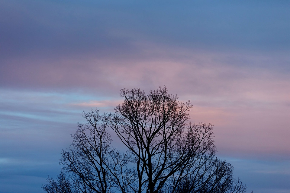 Evening landscape silhouette