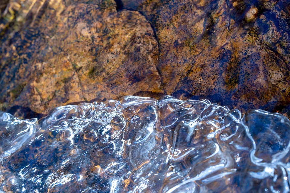 Cold Water underwater nature