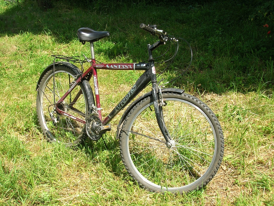 Bike trip transport