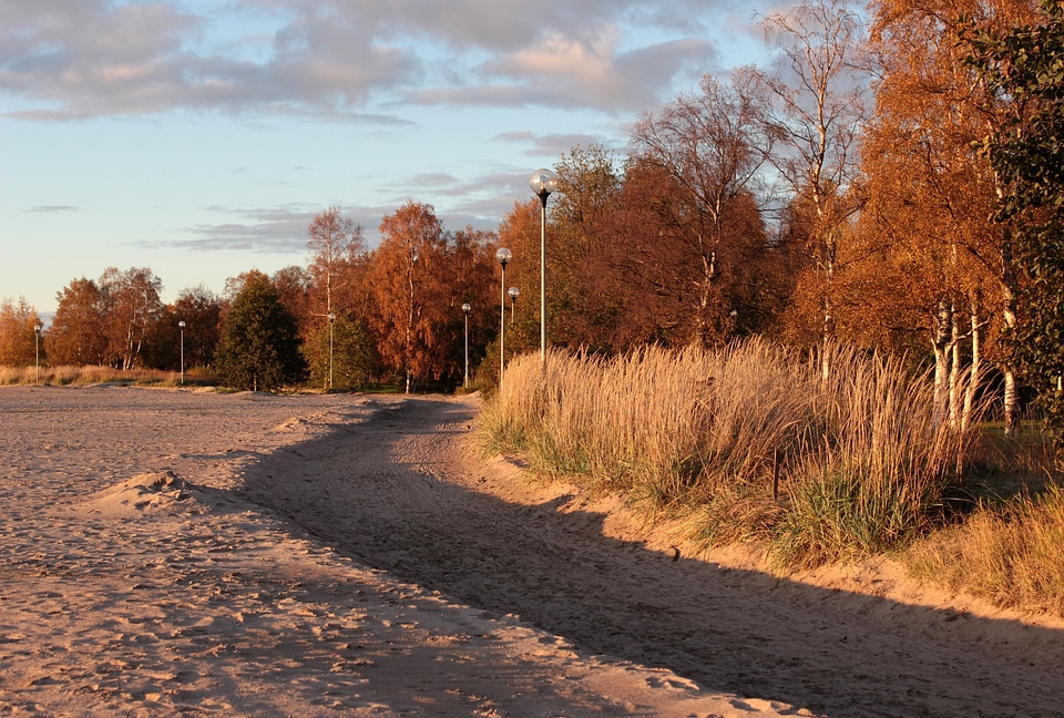 Autumn road forest