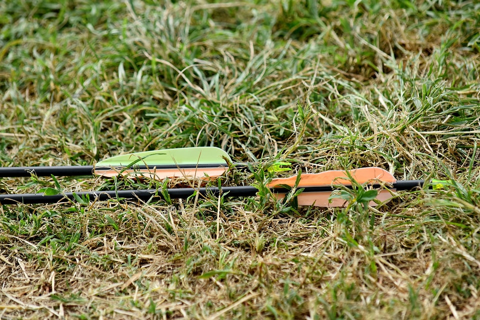 Archery arrow grass